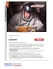 PDF Jackson Quad 500
