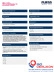 PDF Technische Datenblatt Fliess WSG CrMo1