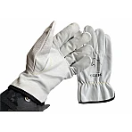 Tigerex - WIG-Handschuhe kurz