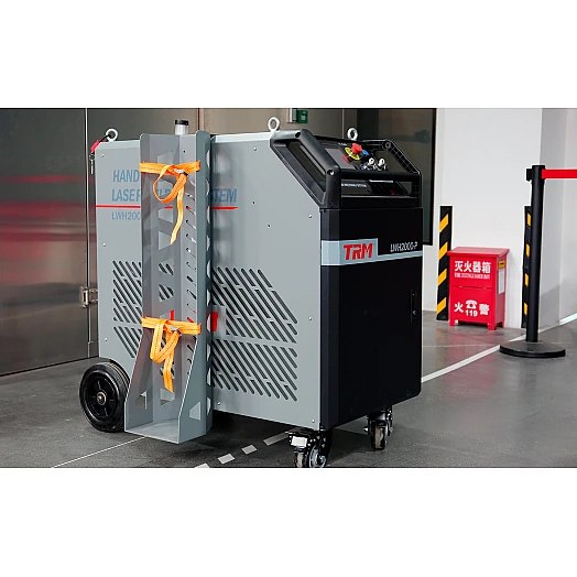 TRM Gasflaschenhalterung2