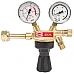 Flaschendruckminderer 230 bar - Modell 842 - Formiergas