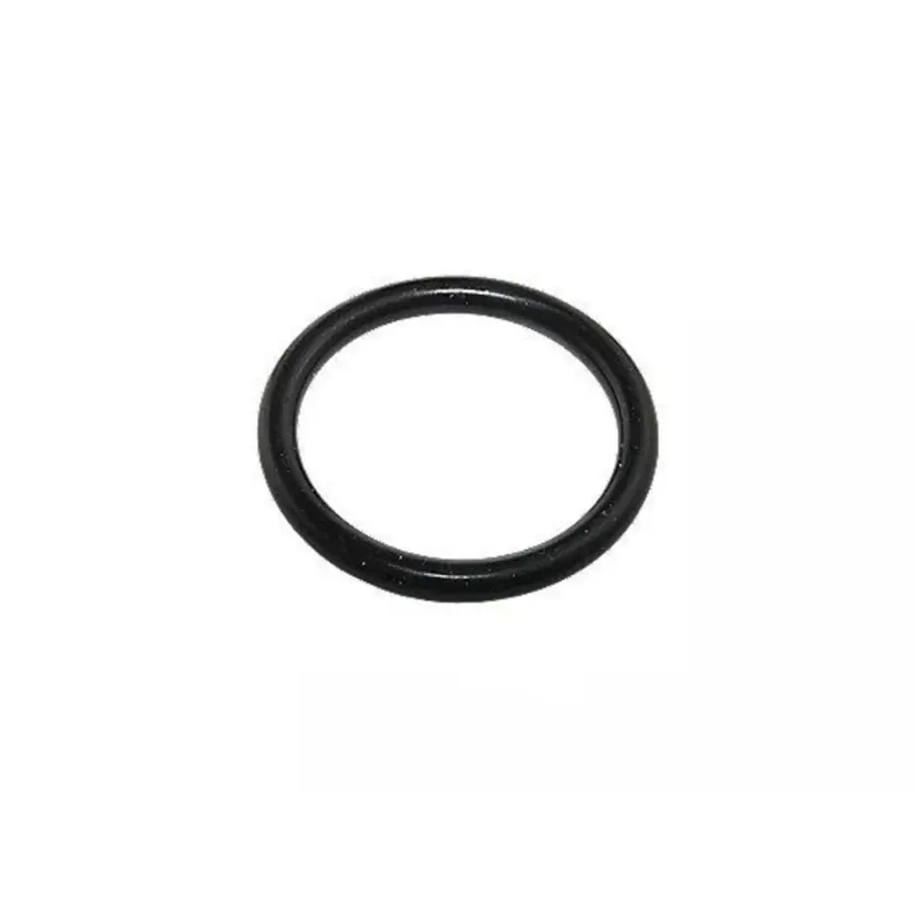 O-Ring für Parweld PRO-Grip Max brenner